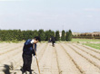 At